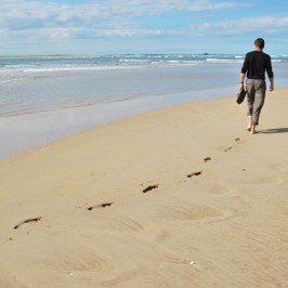 Bamburgh to Budle Bay Footsteps on the beach