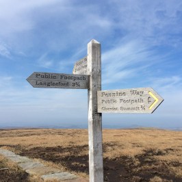 The College Valley and The Cheviot