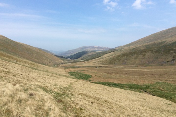The College Valley and The Cheviot
