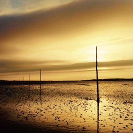 The Pilgrim’s Way to the Holy Island of Lindisfarne Sunset Walk