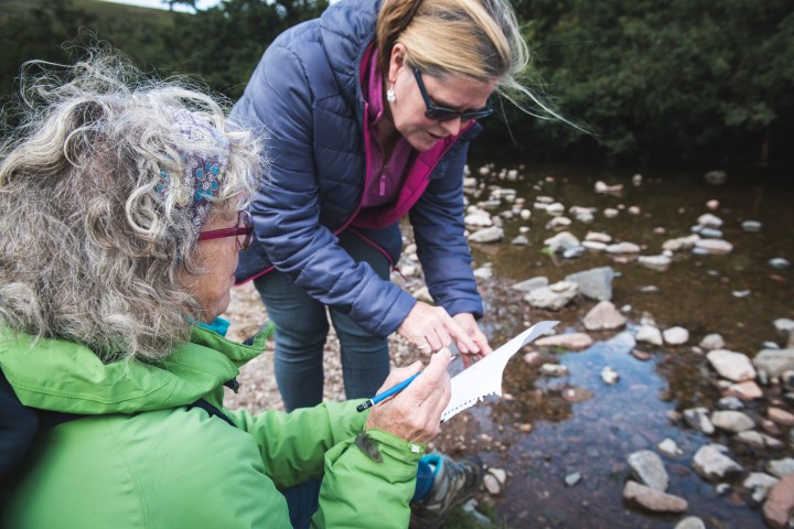 Footsteps art walk in Northumberland