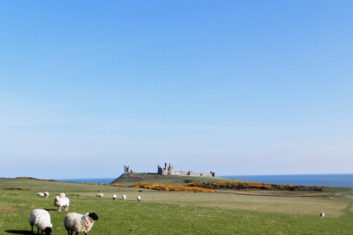 Craster and Low Newton Walk