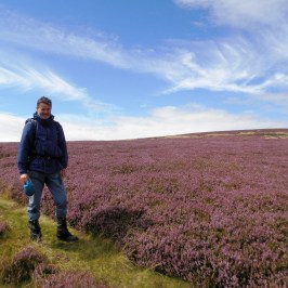 Kirknewton Easter, Wester Tor and Yeavering Bell