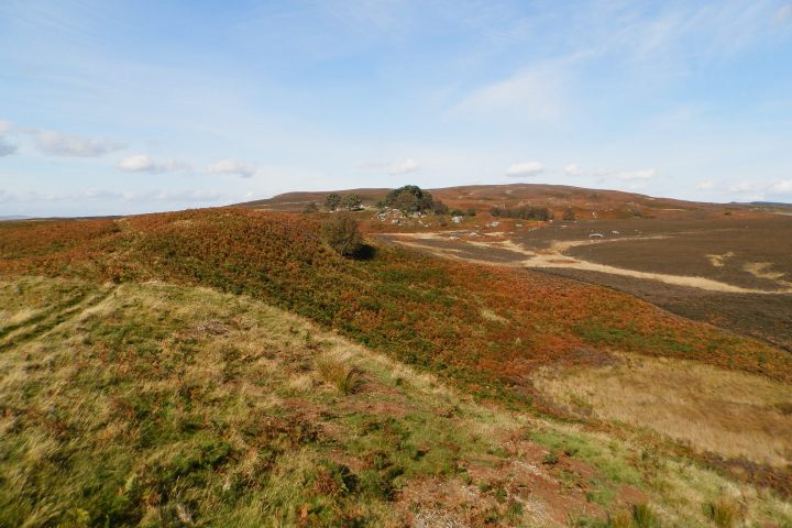 Eglingham and Bewick Moor