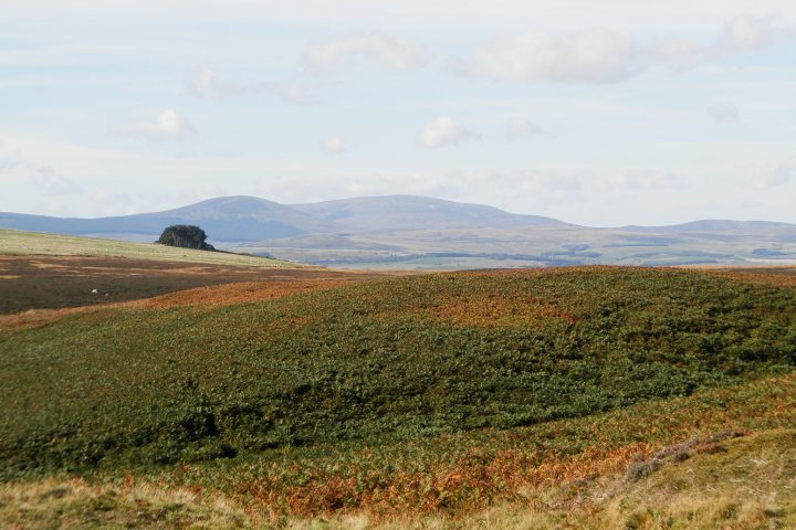 Eglingham and Bewick Moor