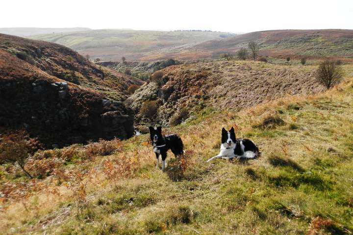 Eglingham and Bewick Moor