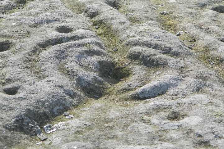Eglingham and Bewick Moor