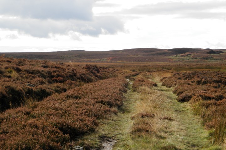 Eglingham and Bewick Moor