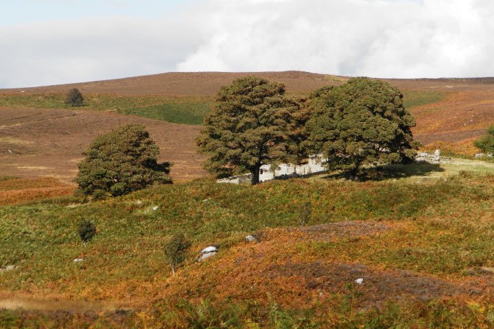 Eglingham and Bewick Moor