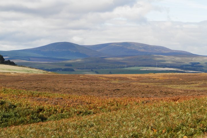 Eglingham and Bewick Moor