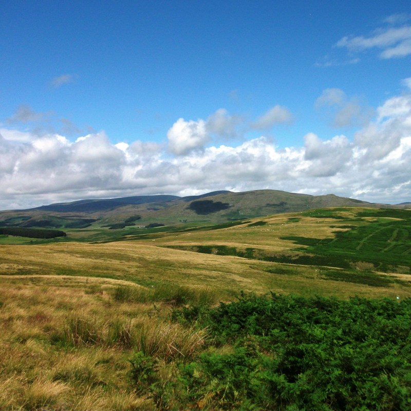 Lush Breamish Valley landscape