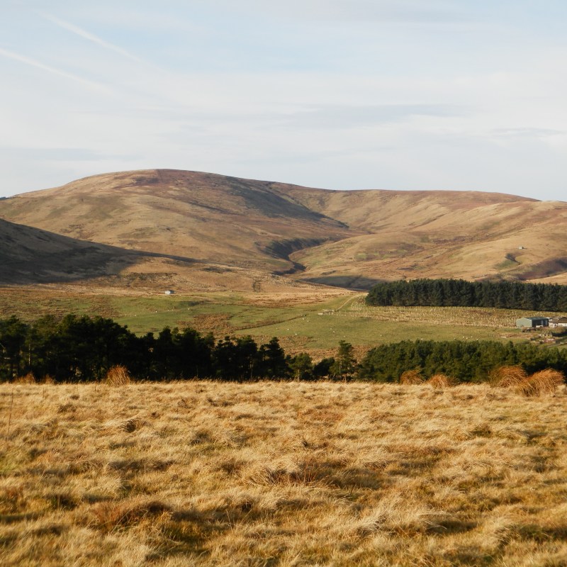 Breamish Valley landscape, Northumberland