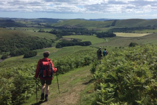 a man walking up a hill