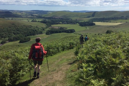 a man walking up a hill