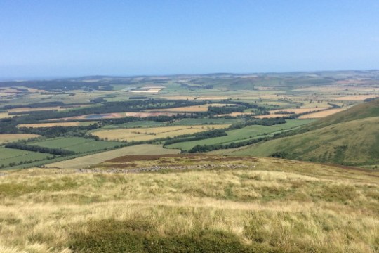 a view of a grassy hill